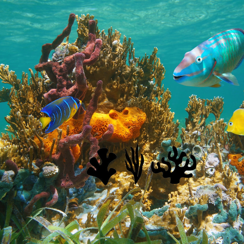 Coral Precut Glass Shape - COE 96